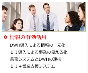 情報の有効活用 DWH導入による情報の一元化 ＢＩ導入による事業の見える化 業務システムとDWHの連携 ＢＩ＋営業支援システム