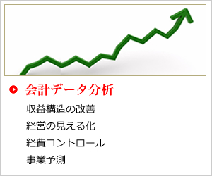 会計データ分析 収益構造の改善 経営の見える化 経費コントロール 事業予測